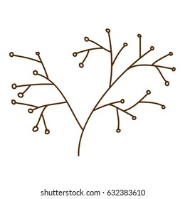brown contour graphic of stem with seeds vector illustration