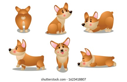 Brown corgi dog animals doing everyday things vector illustration
