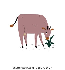 Brown Cow Grazing on Meadow, Dairy Cattle Animal Husbandry Breeding Vector Illustration