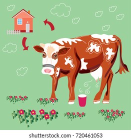 A brown cow on a clearing gives milk