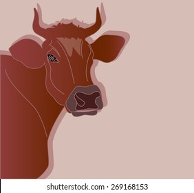 Brown cow on a light background