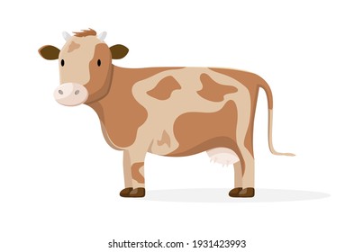 A brown cow with spots on a white background. Cute cow. Farm animals. The cow is standing