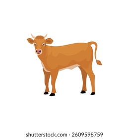 Brown Cow Standing with white background on it