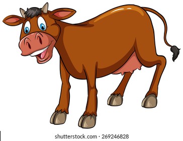 Brown cow standing with white background