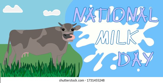 a brown cow with its tongue sticking out stands on a green lawn. inscription handwritten national milk day on a background of milk splash on a blue background