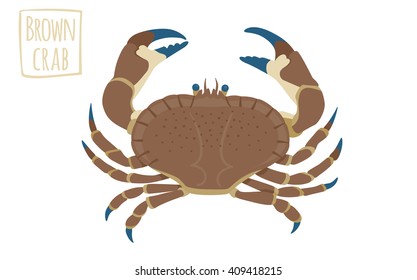 Brown crab, vector cartoon illustration