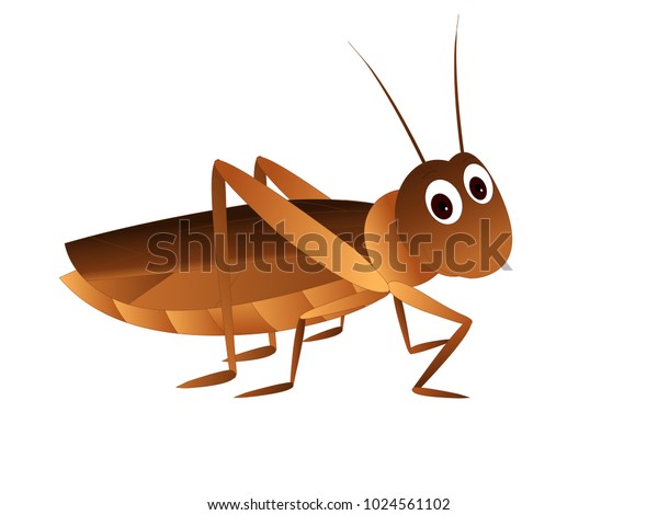 cricket bug clipart pics