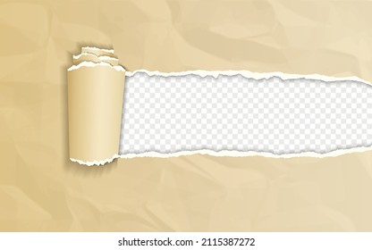 Brown crumpled paper with rolled edge