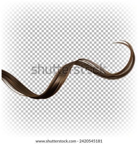 Brown curled vector hair tip. Healthy hair ends. Advertising of cosmetics for care, shampoo, conditioner, hair oil.