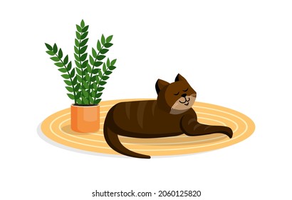 Brown cute cat lies on a cozy carpet. Vector cartoon illustration