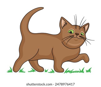 Brown cute cat smiling on white background.