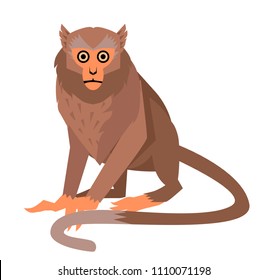 brown cute monkey