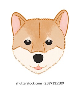 Brown cutie shiba inu dog