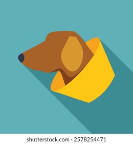 Brown dachshund dog wearing a yellow elizabethan collar, looking right