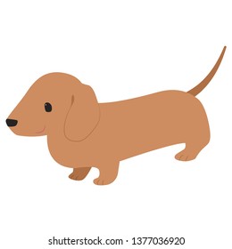 brown Dachshund illustration