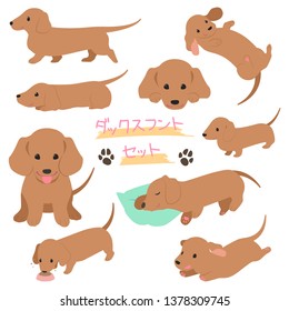 brown Dachshund illustration set
