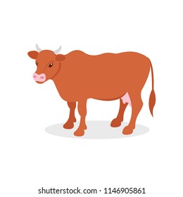 Brown dairy cow, farm animal vector Illustration on a white background