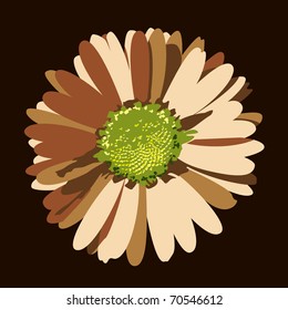 Brown Daisy Flower.
