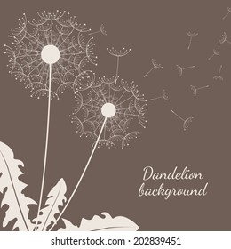Brown dandelion background