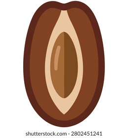 Brown date fruit cut in half showing inside