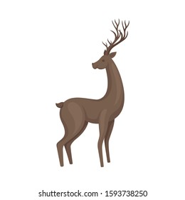 Brown Deer Animal in Standing Pose Vector Illustration