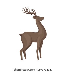 Brown Deer Animal in Standing Pose Vector Illustration