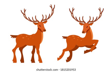 Brown Deer with Antlers and Slender Legs in Standing and Jumping Pose Vector Set