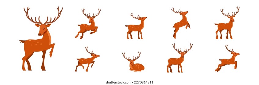 Brown Deer with Antlers and Slender Legs in Standing and Jumping Pose Vector Set