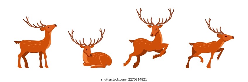 Brown Deer with Antlers and Slender Legs in Standing and Jumping Pose Vector Set