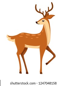 Brown deer. Hoofed ruminant mammals. Cartoon animal design. Cute deer with antlers. Flat vector illustration isolated on white background.