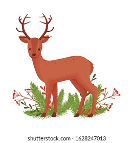 Brown Deer Near Fir Tree Twigs. Hoofed Ruminant Mammal Standing in Branches Vector Illustration