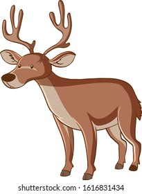 Brown deer on white background illustration