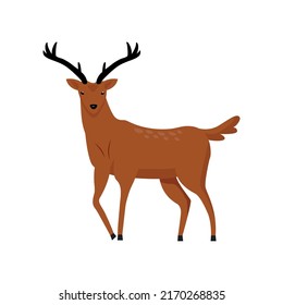 Brown Deer With Two Horns Semi Flat Color Vector Character. Full Sized Animal On White. Wildlife Conservation. Mule Deer. Simple Cartoon Style Illustration For Web Graphic Design And Animation