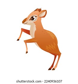 Brown Dik-dik as African Small Antelope with Horns Standing on Hind Legs Vector Illustration