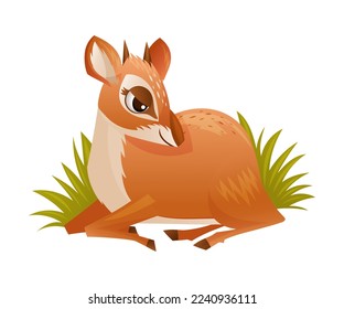 Brown Dik-dik as African Small Antelope with Horns Sitting in Green Grass Vector Illustration