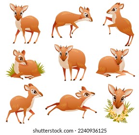 Brown Dik-dik as African Small Antelope with Horns in Different Pose Vector Set