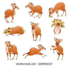 Brown Dik-dik as African Small Antelope with Horns in Different Pose Vector Set