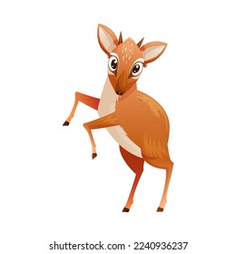 Brown Dik-dik as African Small Antelope with Horns Standing on Hind Legs Vector Illustration