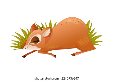 Brown Dik-dik as African Small Antelope with Horns Sleeping Lying in Green Grass Vector Illustration