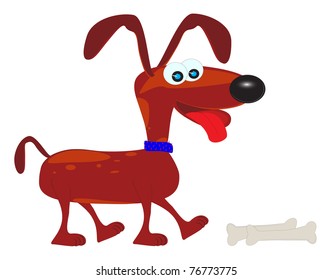 brown dog and bone