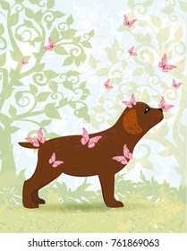 brown dog with butterflies for your design 