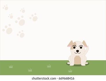 Brown Dog so cute  