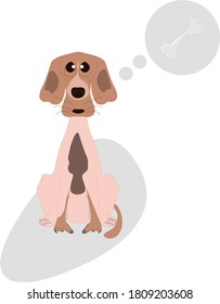 perro pardo que sueña con el hueso