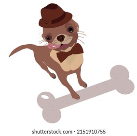 Brown dog in a hat with a bone, vector. Puppy with a pink tongue in a bow tie.