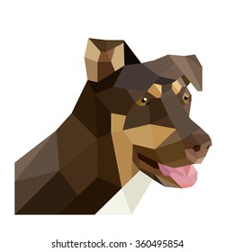 Brown dog in low poly design on white