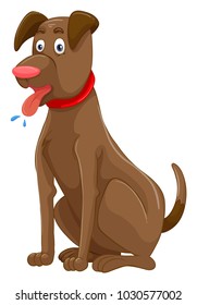Brown dog on white background  illustration