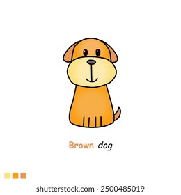 Brown dog on white background