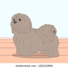 brown dog in a room, vector illustration