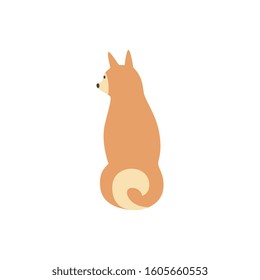 Brown dog and Shiba Inu pet sitting or standing, view from the back. Isolated vector flat cartoon illustration of a shiba inu dog.