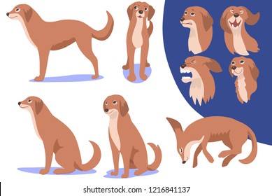  brown dog from the side, front, sitting, lying. set of dog emotions